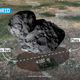 Illustration for article titled A size comparison of the comet 67P with popular sci-fi spaceships